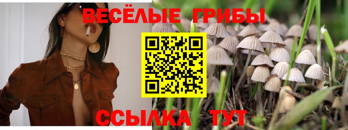 Холмск  купить наркотики цена  Вход с VPN  Псилоцибиновые грибы мицелий 